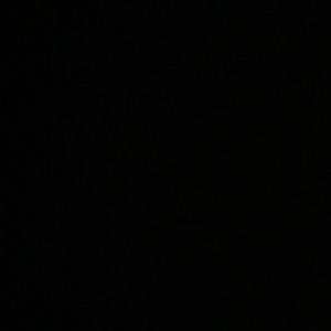 Meet your Posher, Laci